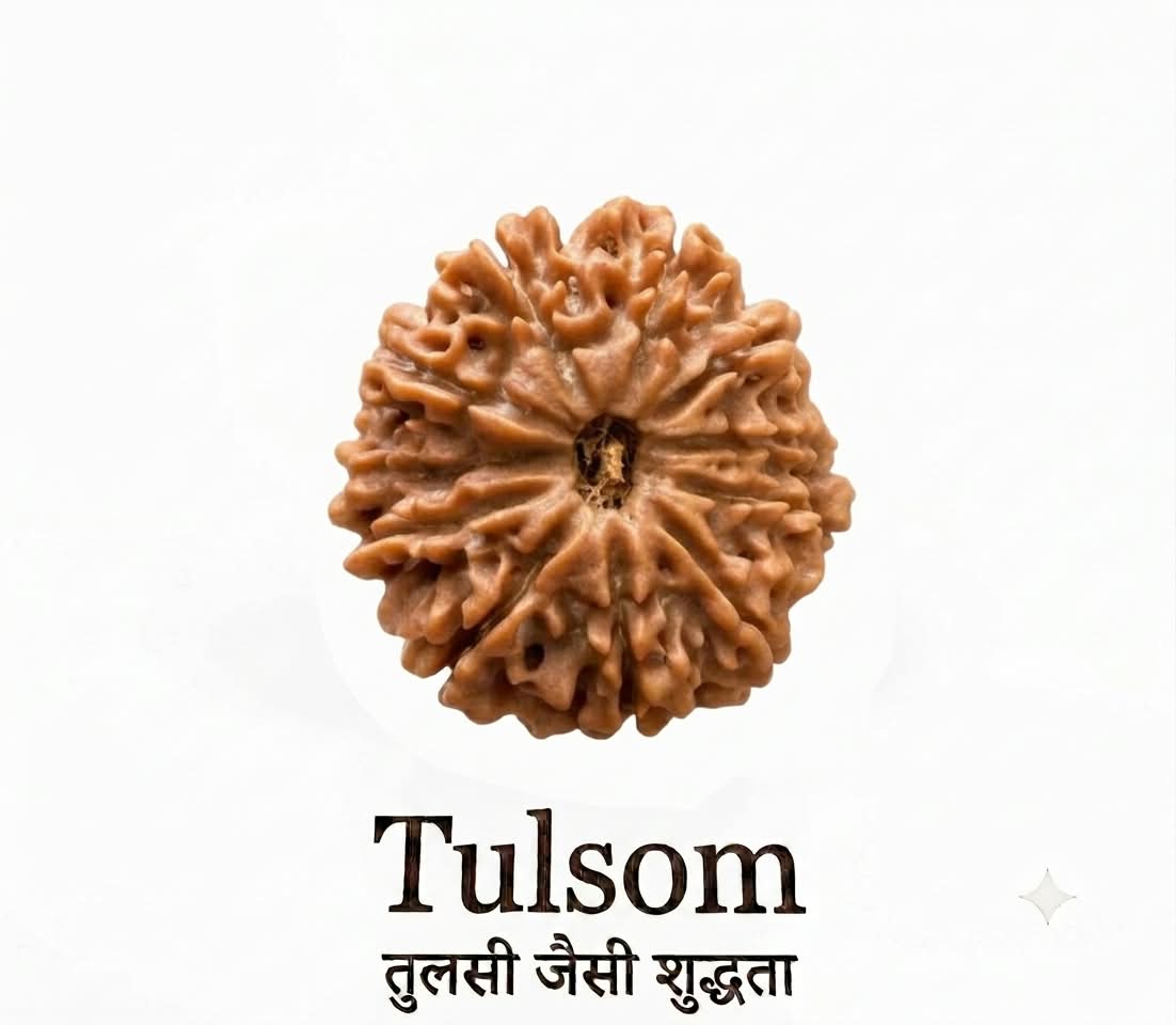 Tulsom Certified Nepali 11-Mukhi Ekadasha Rudra Hanuman Rudraksha