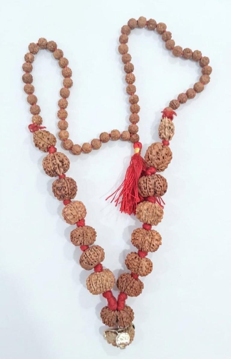Tulsom Authentic 1 to 14 Mukhi Rare Nepali Sarva Siddha Rudraksha Mala