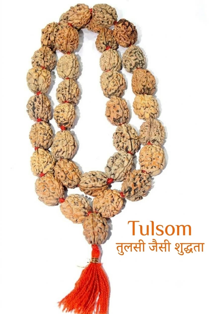 Tulsom Three Mukhi Rudraksha Mala (54+1 Beads) | Authentic Sacred Rosary for Confidence, Karma Cleansing & Japa