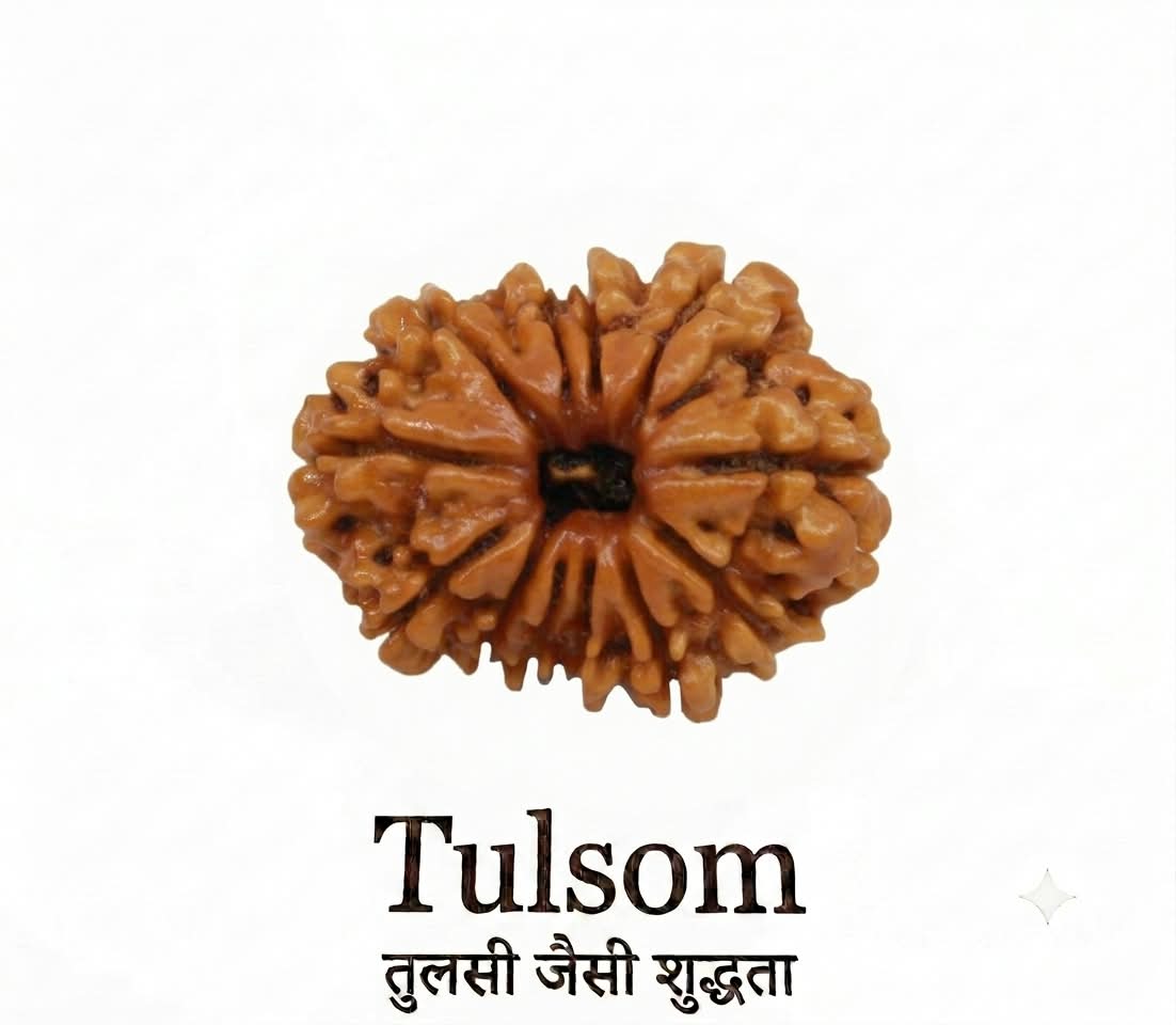 Tulsom Certified Nepali 12-Mukhi Surya Aditya Rudraksha for Leadership