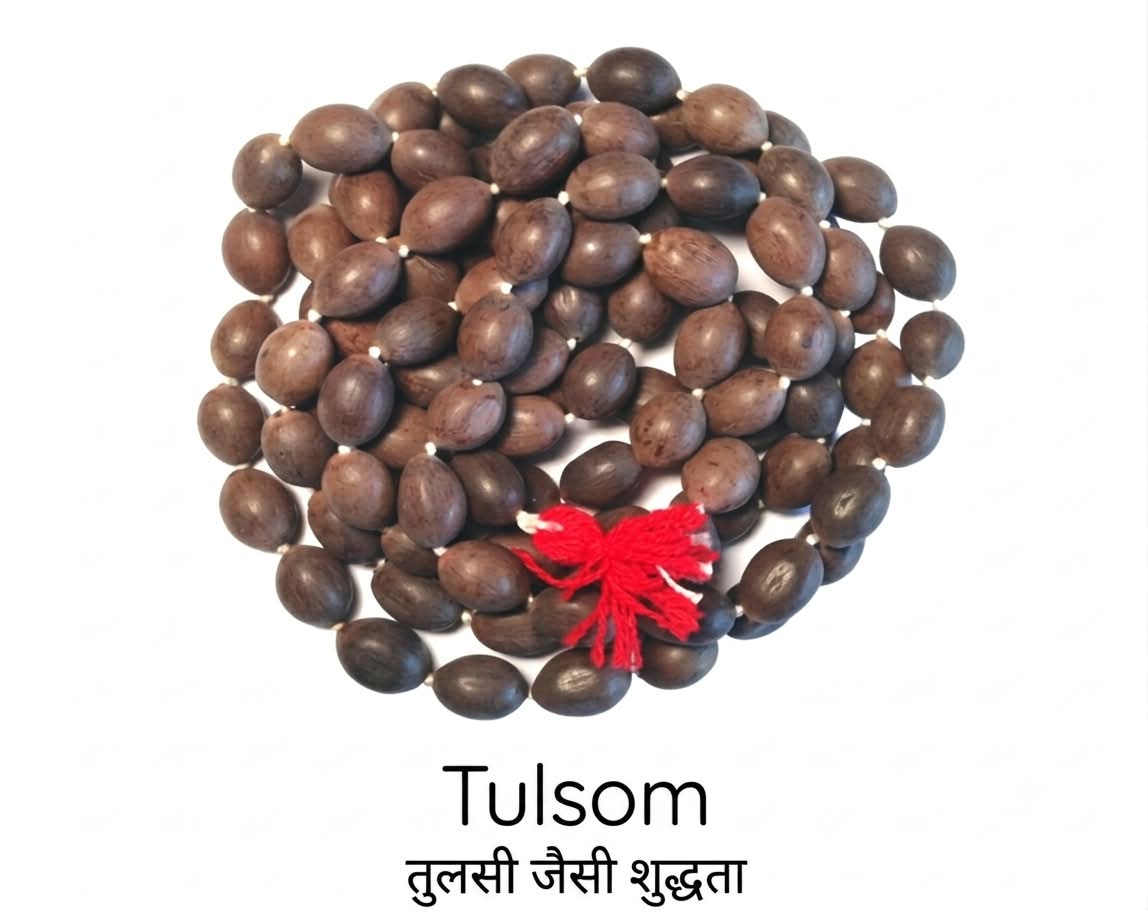 Tulsom Premium Natural Kamal Gatta Lotus Seed Mala for Wealth & Prosperity