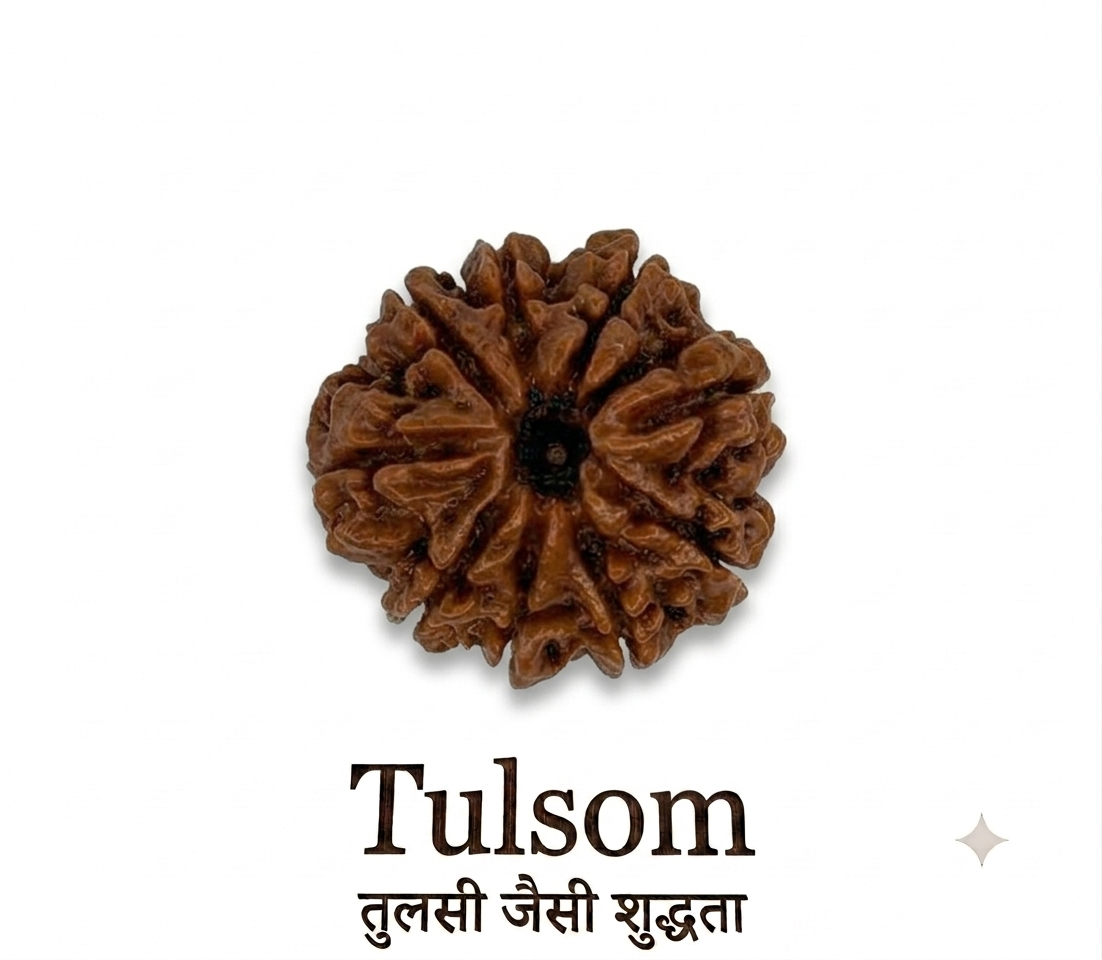 Tulsom Lab-Certified 9-Mukhi Maa Durga Rudraksha Bead for Courage
