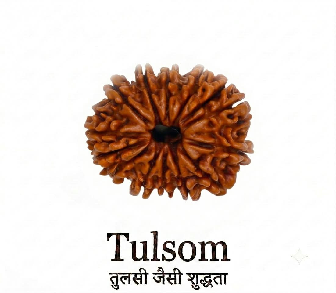 Tulsom Certified Nepali 14-Mukhi Deva Mani Rudraksha for Intuition & Leadership