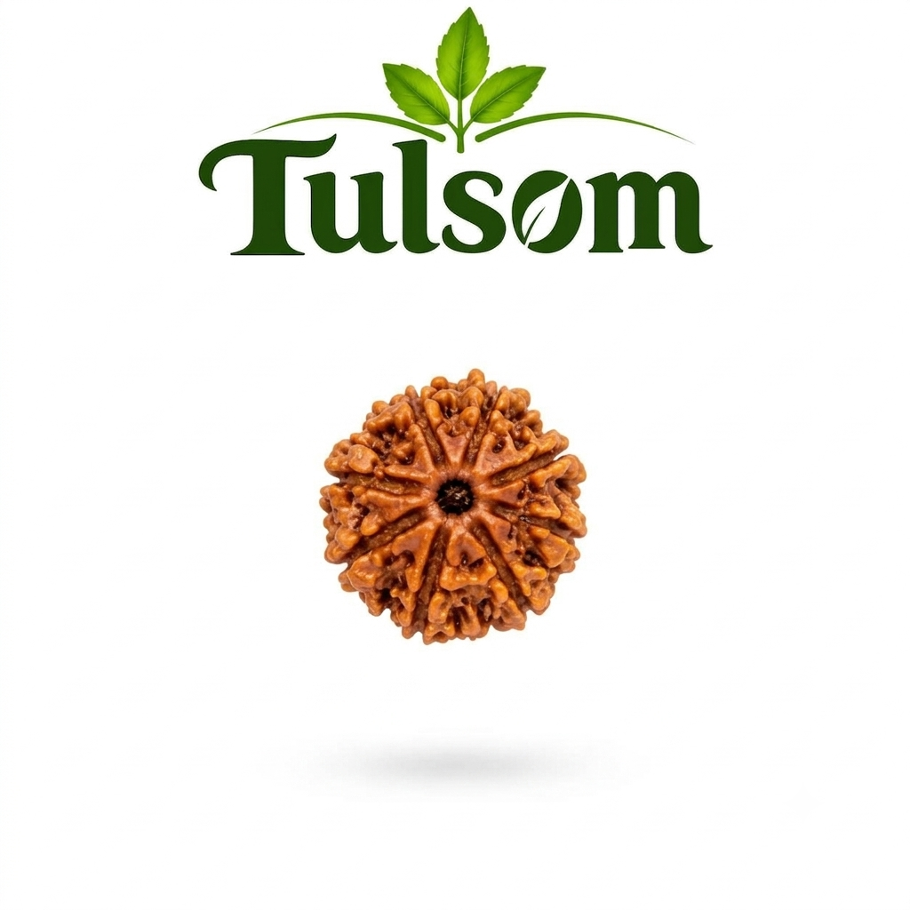 Tulsom Lab-Certified 8-Mukhi Lord Ganesha Rudraksha Bead for Success