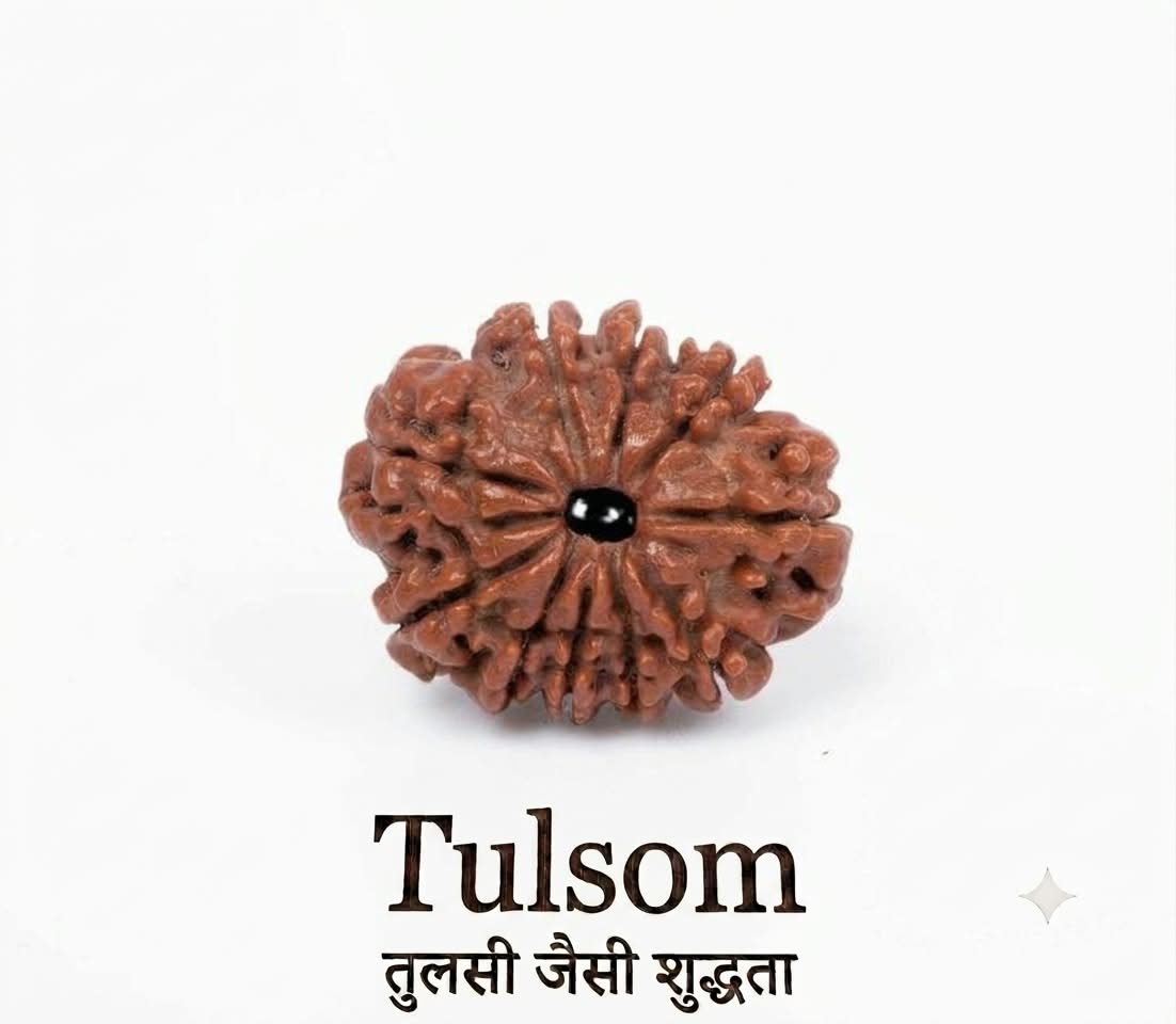 Tulsom Lab-Certified 10-Mukhi Lord Vishnu Rudraksha Bead for Protection