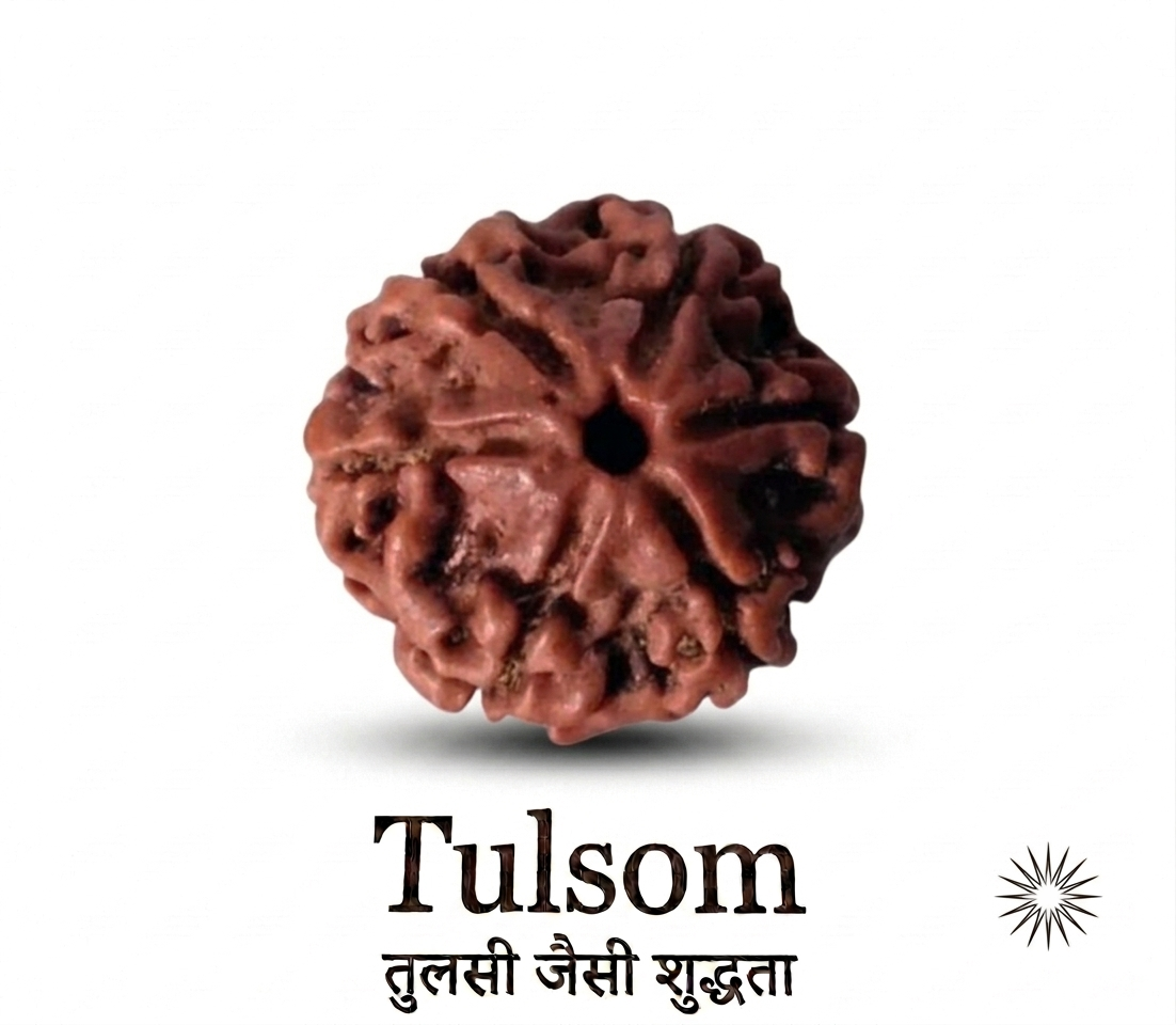 Tulsom Certified 6-Mukhi Rudraksha Bead for Willpower & Charismatic Confidence
